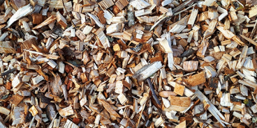 Vilku meži SIA, mežizstrāde, kokmateriāli
